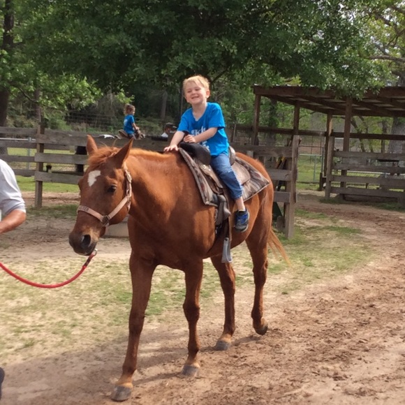 Meet your Posher, Tammy - Picture 9 of 13